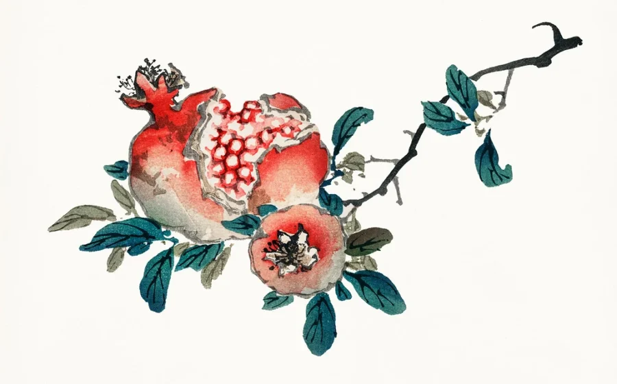 Фото: Free Public Domain Illustrations by rawpixel