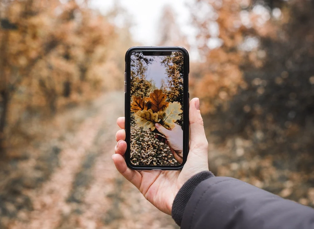 Смартфон года: Xiaomi 18 Pro — первый после iPhone?